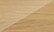 leg color icon