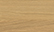 leg color icon